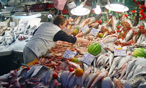 Itália terá que recorrer à importação de peixes devido a grande demanda no país